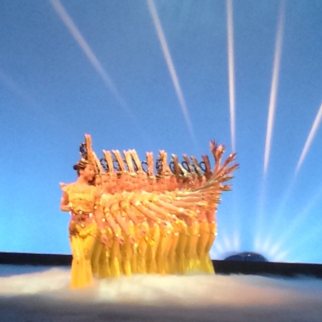 mitsidance's profile picture. Season 8 of America's Got Talent!