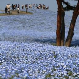 カレー・抹茶・チョコレートが大好きな神戸っ子。スイーツを堂々と楽しむために適切な健康管理と肉体改造を目指します!#スイーツはあきらめない #宇宙飛行士と健康に #hiromatcha🍵#sakuramatcha🌸