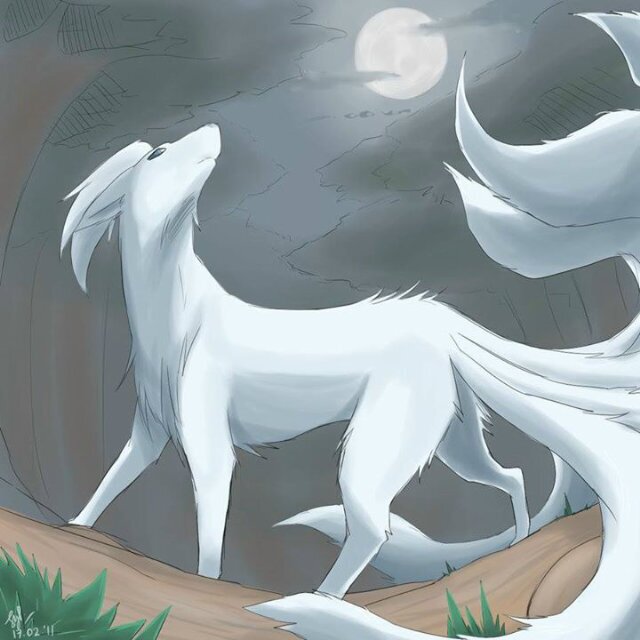 Um.. Hello. I'm Renai, the Ninetales. I think you've already know about it. #PokemonRP #Single #Female #Wild