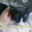 とぅー (@0825rf) Twitter