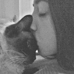 MaribelGalvan7's profile picture. 