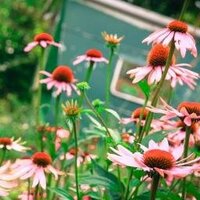 Radford Mill Farm (@radfordmillfarm) Twitter profile photo