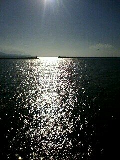 jintai3bon's profile picture. 