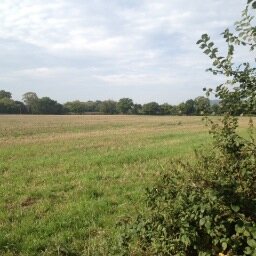 Cranleigh's green fields and infrastructure are threatened by major housing development proposals. Brown fields such as Dunsfold Aerodrome before green fields!