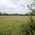 Save Cranleigh (@savecranleigh) Twitter profile photo Save Cranleigh (@savecranleigh) Twitter profile photo