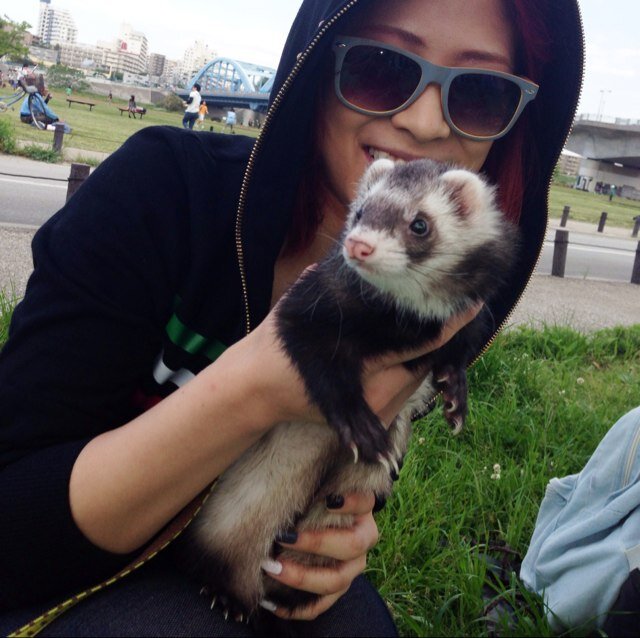 percom93's profile picture. つぶやきの内容は新丸子コミュニケーションが大半…