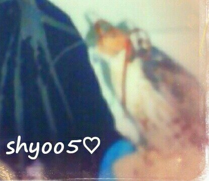 ftoom2shyok's profile picture. ♥‏‏طالبة جامعية؛؛أسعى لتحقيق هدفي مهما كانت العوائق؛؛الحياة مدرستي؛؛إحساسي مرهف؛؛لدي سخاء في حب اﻵخرين؛؛مواليد1992 ♥★`All Ngradhati the pulse of my sense`★