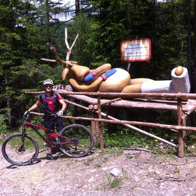 GiacomoZilio's profile picture. Dilettante delle due ruote