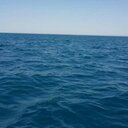 علي المطيري (@11Vzvzsd) Twitter