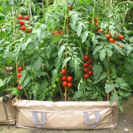 Our re-useable grow-beds are far cheaper and more affordable than buying your fruit and veg and from the supermarket. #raisedgrowbeds #growbeds #growbags #fruit
