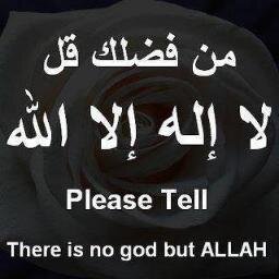‏الله لطيف بعباده يرزق من يشاء وهو القوي العزيز