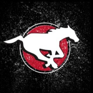 rheamunro's profile picture. Don't follow me, i have no idea where i'm going...