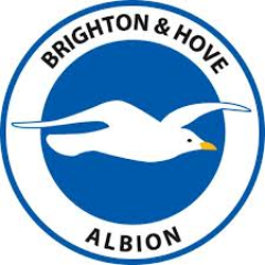 Tweeting news, stats and real-time predictions for the mighty Brighton & Hove Albion #Seagulls #BHAFC