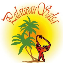 Association PalaiseauSalsa (91), venez danser avec nous ! Salsa cubaine, bachata, kizomba.