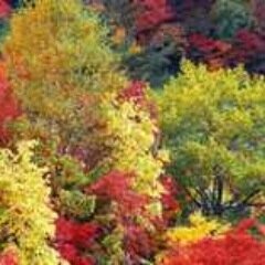 sbannalaura's profile picture. 