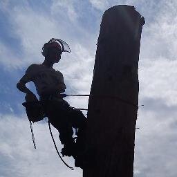 Tree Surgeon Reading
