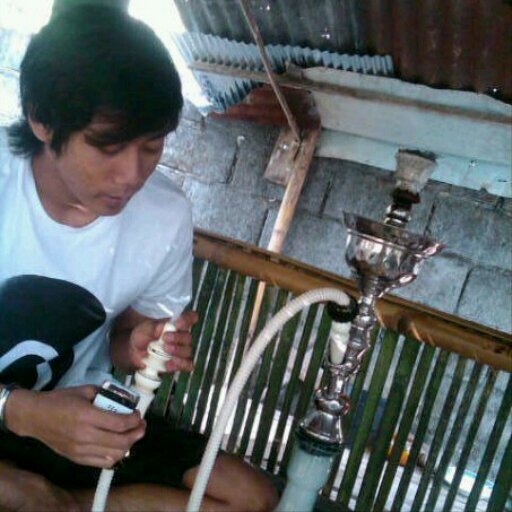 xDCPx's profile picture. 