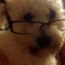 geraldine connolly (@geraldineconno3) Twitter profile photo