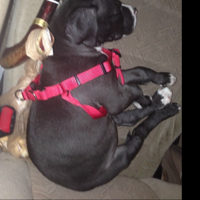 jonpatrie's profile picture. 