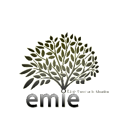 ETHNIC MINORITIES IN EDUCATION : Developing and supporting the CPD and diversity in education.