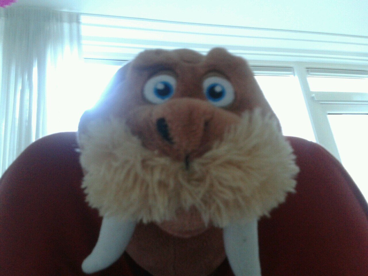Hoi ik ben Thom Uijthof (@Uijthof1)