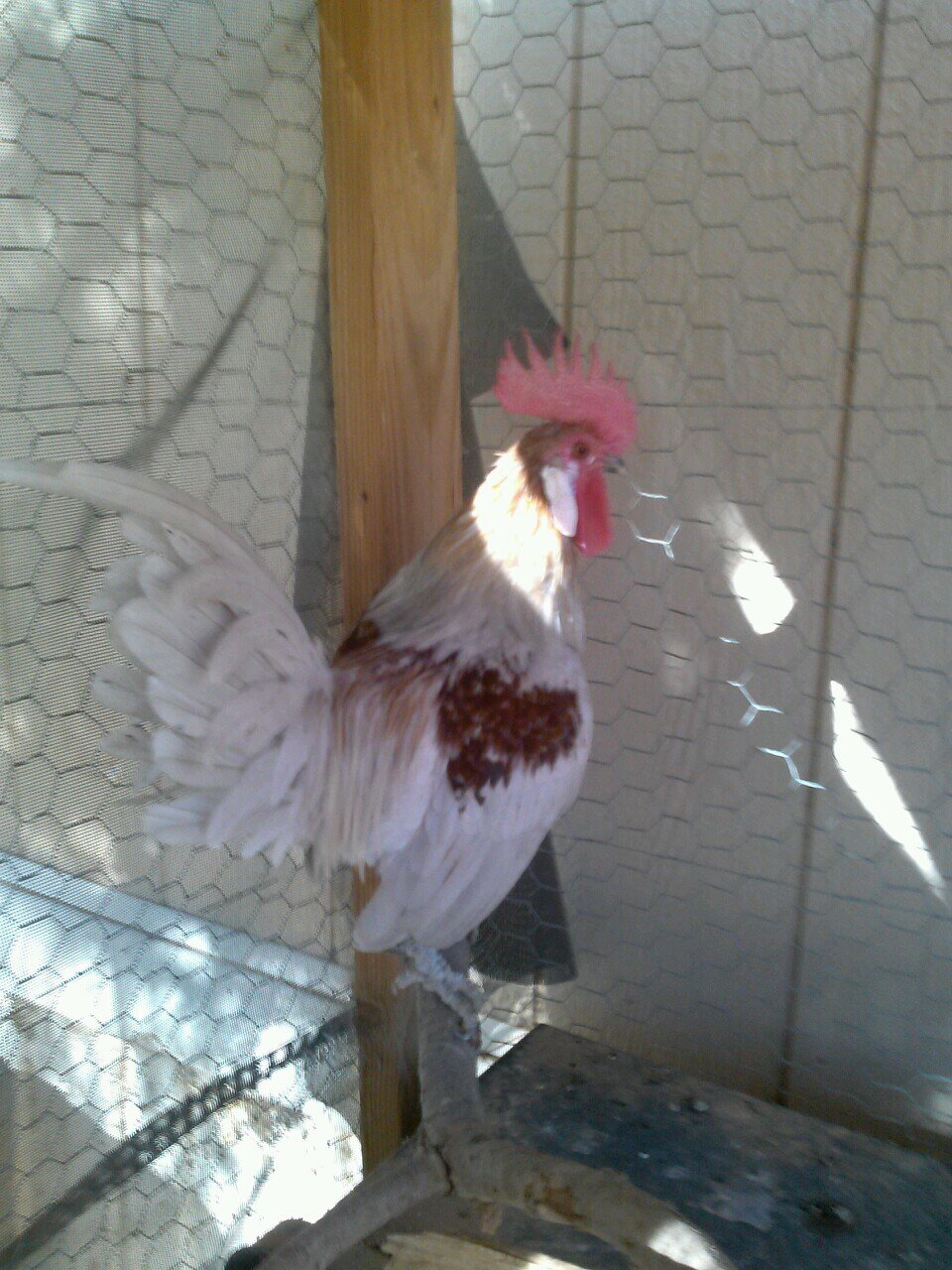 Gotlost4now's profile picture. 