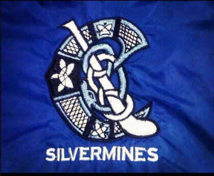 Silvermines Camogie