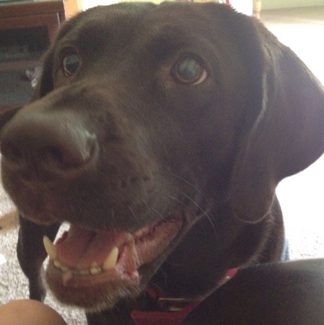 WillyWilson32's profile picture. 