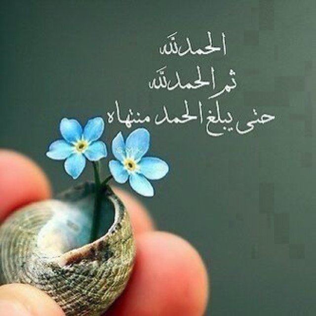 الحمد لله كما يليق بجلال وجهه وعظيم سلطانه
