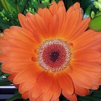 matt (@mattpyates) 's Twitter Profile