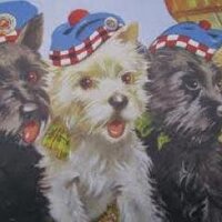 Hamish  (@__hamish__) 's Twitter Profile