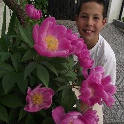 NetoRudi's profile picture. amo andebol,e desporto