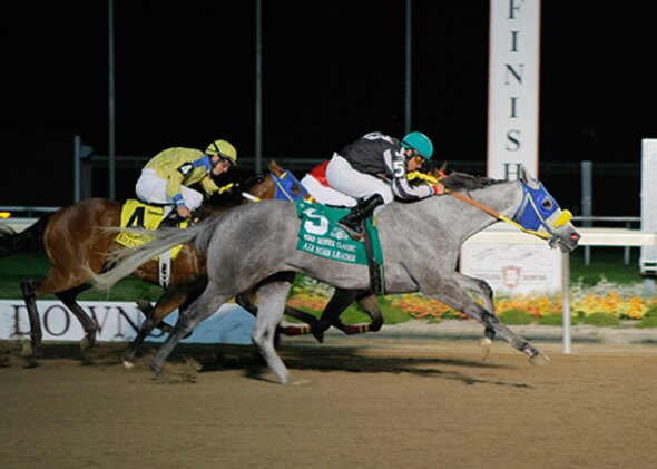 Racing Quarter Horses all of my life.  Having a blessed career in Indiana with Great Owners, and Very good State Breds.  I'm always looking for Good Open Horses