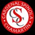 CD Spínola Chamartín (@cd_spinola) Twitter profile photo CD Spínola Chamartín (@cd_spinola) Twitter profile photo