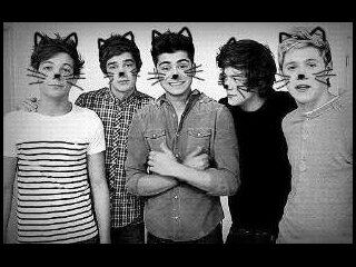 Directioner...I love 1D