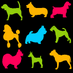 🐩Dogs in the News (@dogsinthenews) Twitter profile photo 🐩Dogs in the News (@dogsinthenews) Twitter profile photo