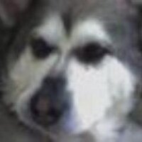Lance (@jsquigglez) 's Twitter Profile