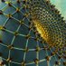 Oxford Quantum (@oxfordquantum) Twitter profile photo Oxford Quantum (@oxfordquantum) Twitter profile photo