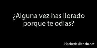 13. A LA MIERDA LA SOCIEDAD.   'No soy borde.Solo doy mi opinión'  ·Belieber desde 2009·                                En mi puto mundo, te vienes?