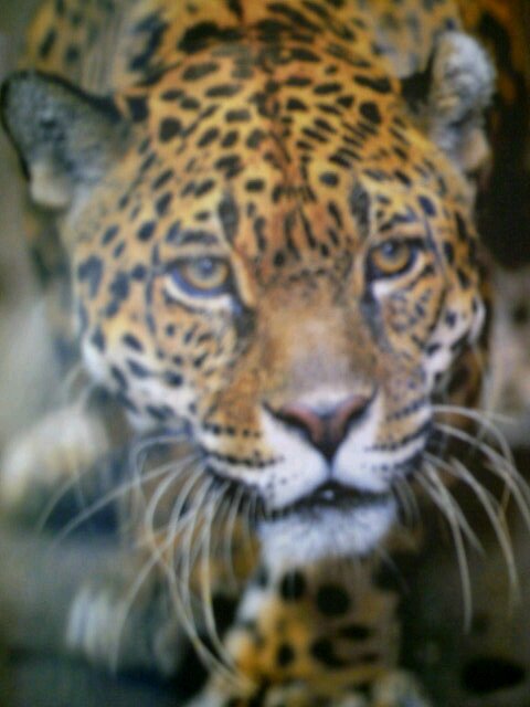 Nunca des explicaciones a tus amigos no la necesitan y tus enemigos no las creen.
Macrista 💛 💫 BLOCK A INSULTADORES SERIALES.