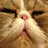 Brungy85's profile image