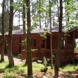 Self catering holiday cabin in Dumfries and Galloway, right on the edge of the Dark Sky Park. Follow us on Facebook and Pinterest too.