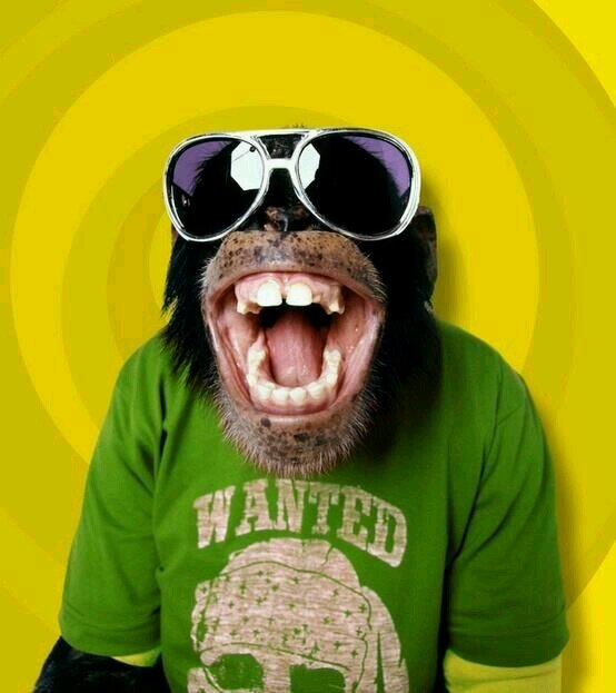 julenelmasguapo's profile picture. 