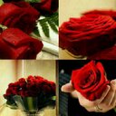 ام فارس (@1045Aseel) Twitter
