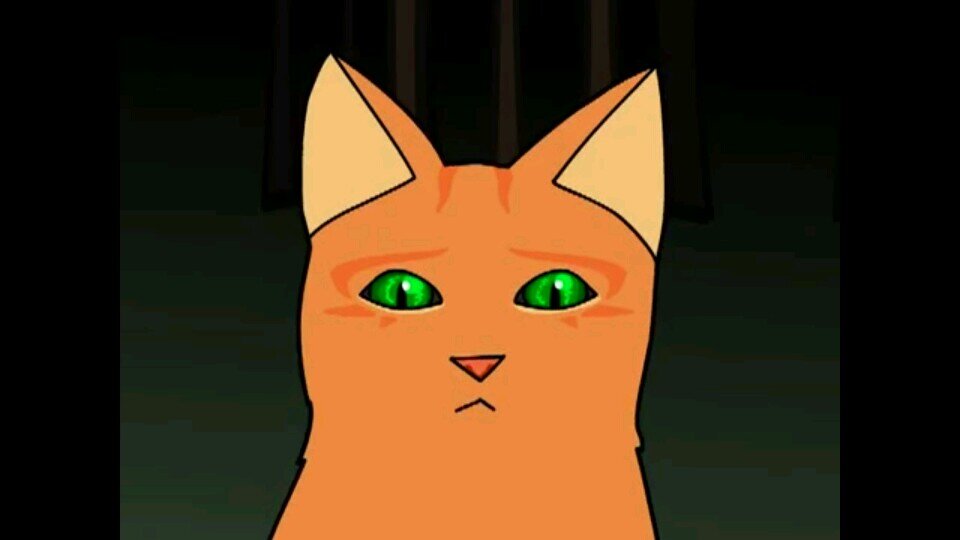 Hello I'm FireFur I'm in BloodClan! (mentor: none) (She-Cat) I will attack any cat who will cross our border or attacks me!