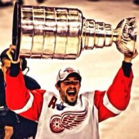 Average RedWings Fan (@averagewingsfan) 's Twitter Profile