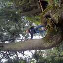 camilo moran - @kmoran26 - Twitter