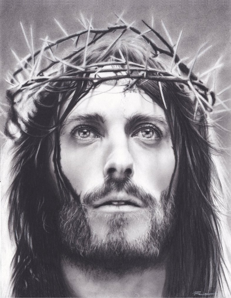 The 4 Gospels harmonized and retold in a whole new way.