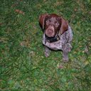 Jonathan Hoban - @JobanTime - Twitter