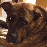 Garla Kat (@garlakat) 's Twitter Profile